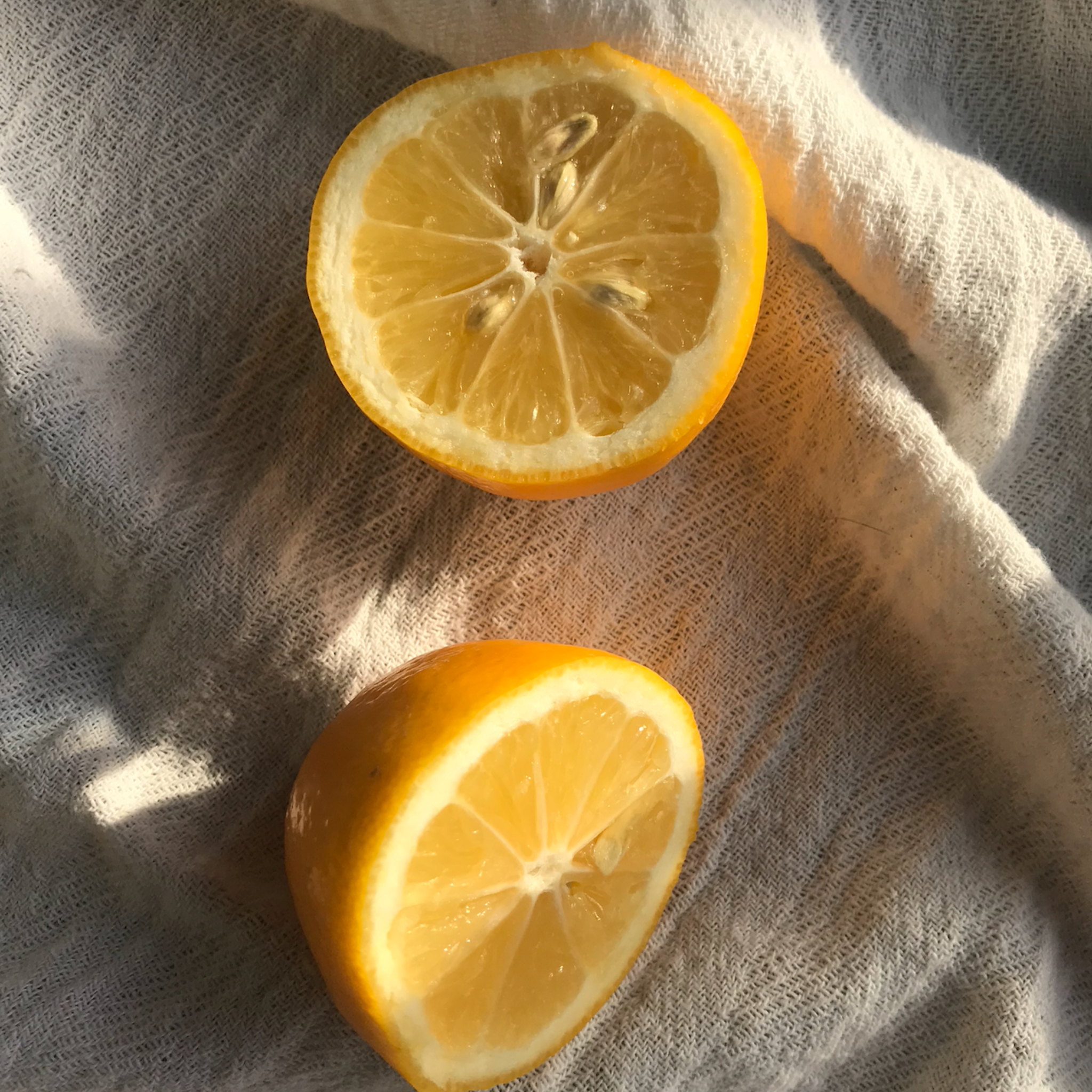 Boost Your Immune System Naturally This Winter